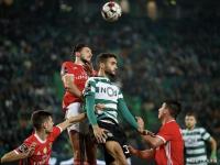 球速-关于关键时刻法国杯焦点战，葡萄牙体育造点机会，气氛紧张，训练强度明显提升的信息